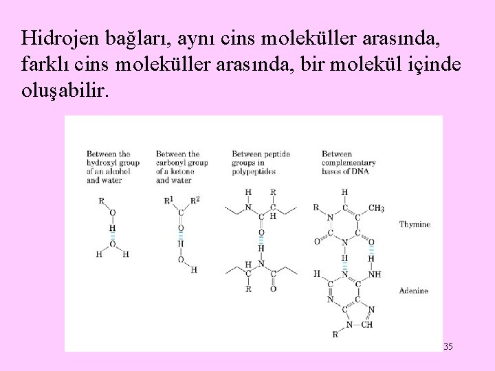 Hidrojen bağları, aynı cins moleküller arasında, farklı cins moleküller arasında, bir molekül içinde oluşabilir.