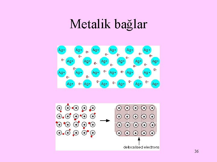 Metalik bağlar 36 