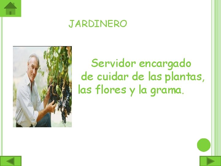 JARDINERO Servidor encargado de cuidar de las plantas, las flores y la grama. 