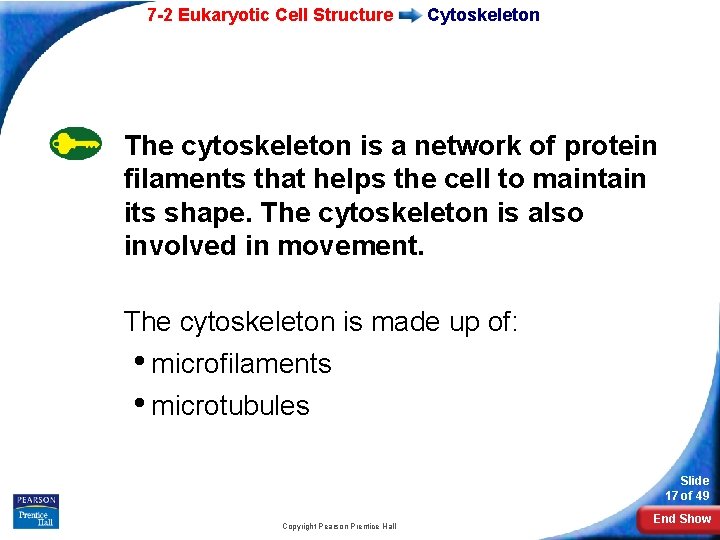 7 -2 Eukaryotic Cell Structure Cytoskeleton The cytoskeleton is a network of protein filaments