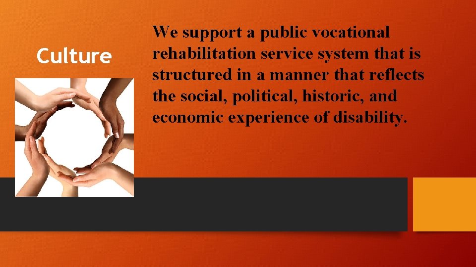 Culture We support a public vocational rehabilitation service system that is structured in a