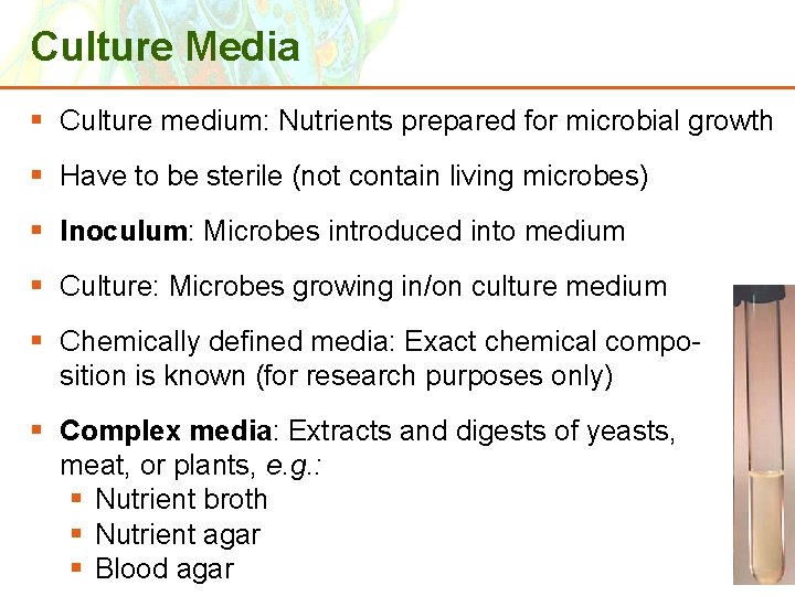 Culture Media § Culture medium: Nutrients prepared for microbial growth § Have to be