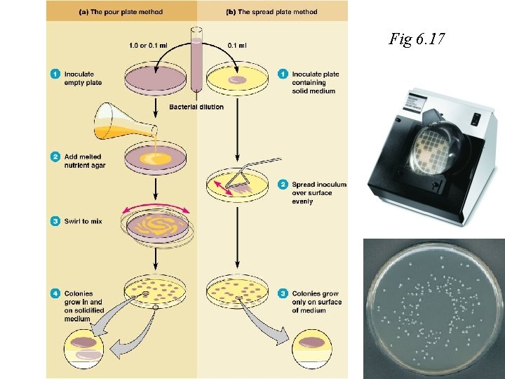 Fig 6. 17 Figure 6. 15, step 1 