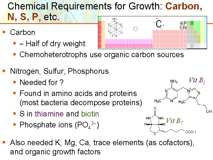 Chemical Requirements for Growth: Carbon, N, S, P, etc. § Carbon § Half of