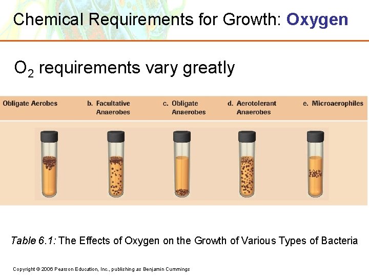 Chemical Requirements for Growth: Oxygen O 2 requirements vary greatly Table 6. 1: The