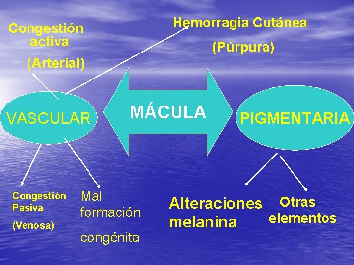 Hemorragia Cutánea Congestión activa (Púrpura) (Arterial) VASCULAR Congestión Pasiva (Venosa) MÁCULA Mal formación congénita