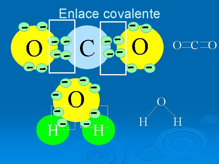 Enlace covalente O C O O H H H 