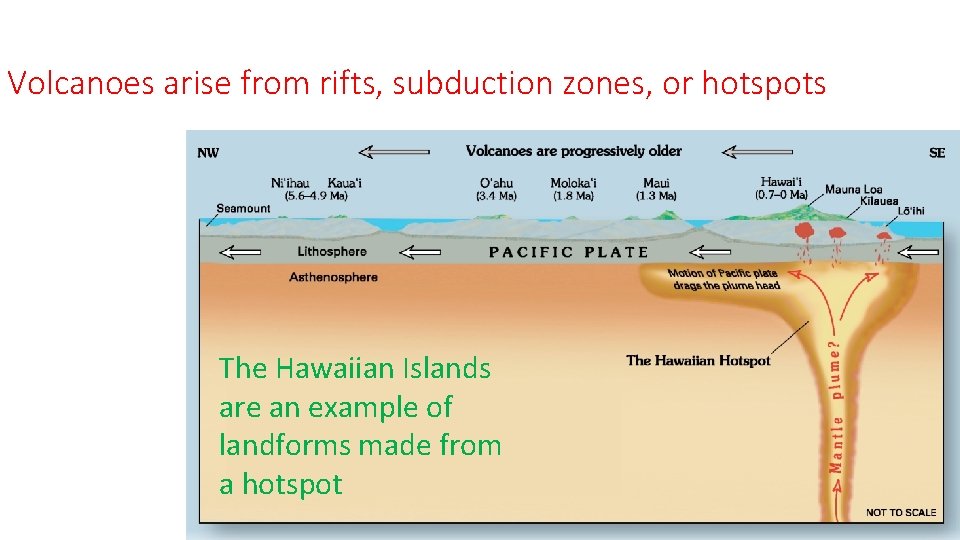 Volcanoes arise from rifts, subduction zones, or hotspots The Hawaiian Islands are an example