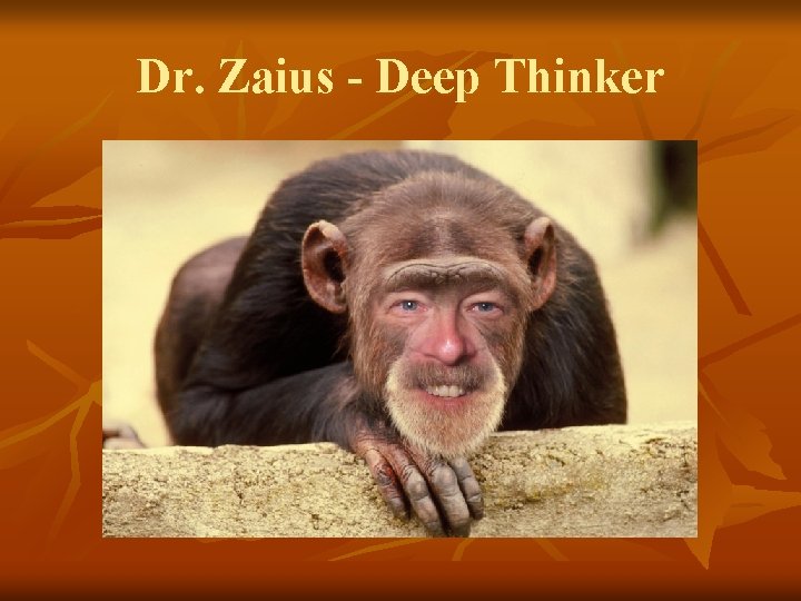 Dr. Zaius - Deep Thinker 