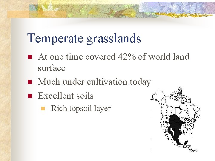 Temperate grasslands n n n At one time covered 42% of world land surface