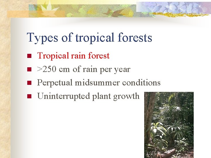 Types of tropical forests n n Tropical rain forest >250 cm of rain per