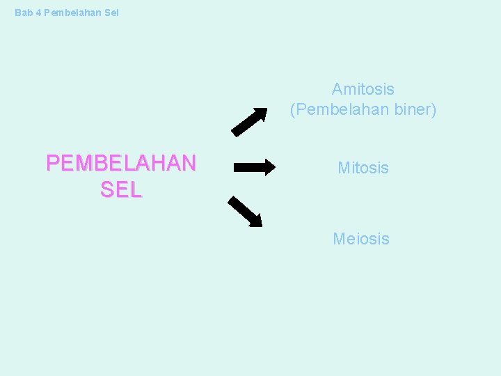 Bab 4 Pembelahan Sel Amitosis (Pembelahan biner) PEMBELAHAN SEL Mitosis Meiosis 