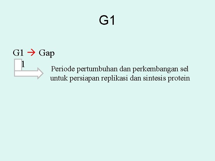 G 1 Gap 1 Periode pertumbuhan dan perkembangan sel untuk persiapan replikasi dan sintesis