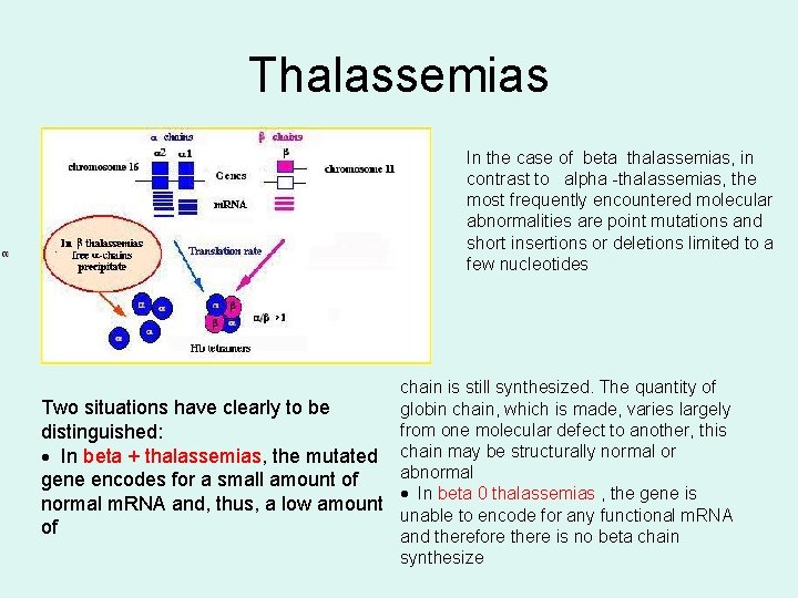 Thalassemias In the case of beta thalassemias, in contrast to alpha -thalassemias, the most