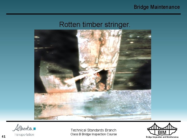 Bridge Maintenance Rotten timber stringer. Technical Standards Branch 41 Class B Bridge Inspection Course