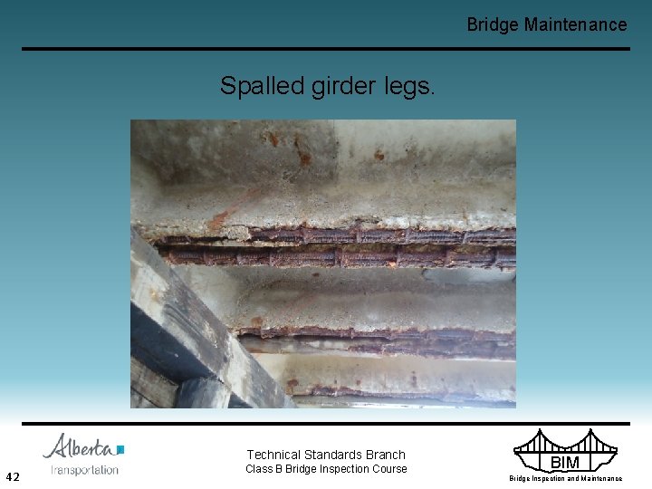 Bridge Maintenance Spalled girder legs. Technical Standards Branch 42 Class B Bridge Inspection Course