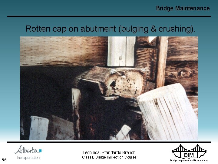 Bridge Maintenance Rotten cap on abutment (bulging & crushing). Technical Standards Branch 56 Class