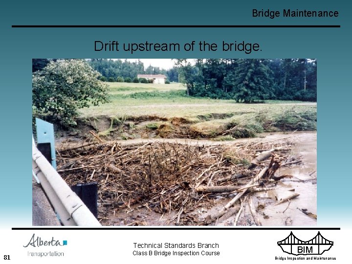 Bridge Maintenance Drift upstream of the bridge. Technical Standards Branch 81 Class B Bridge