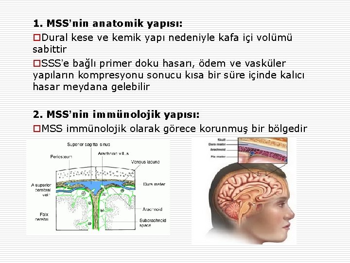 1. MSS’nin anatomik yapısı: o. Dural kese ve kemik yapı nedeniyle kafa içi volümü