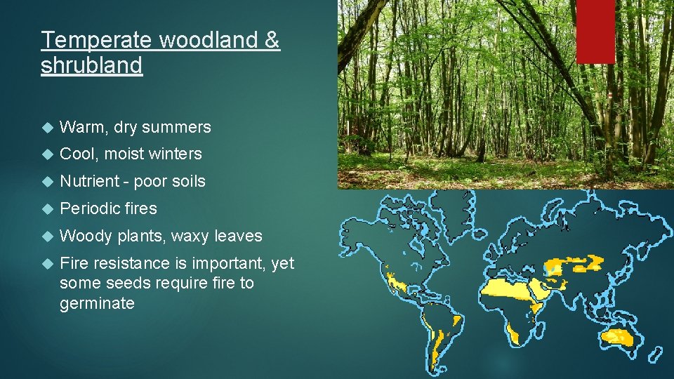 Temperate woodland & shrubland Warm, dry summers Cool, moist winters Nutrient - poor soils