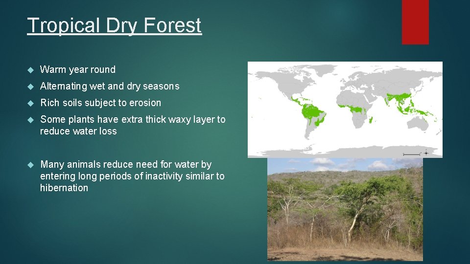 Tropical Dry Forest Warm year round Alternating wet and dry seasons Rich soils subject