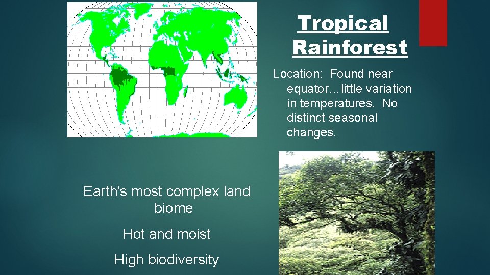 Tropical Rainforest Location: Found near equator…little variation in temperatures. No distinct seasonal changes. Earth's