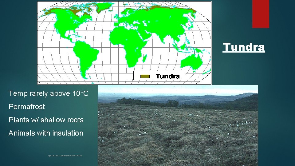 Tundra Temp rarely above 10°C Permafrost Plants w/ shallow roots Animals with insulation http: