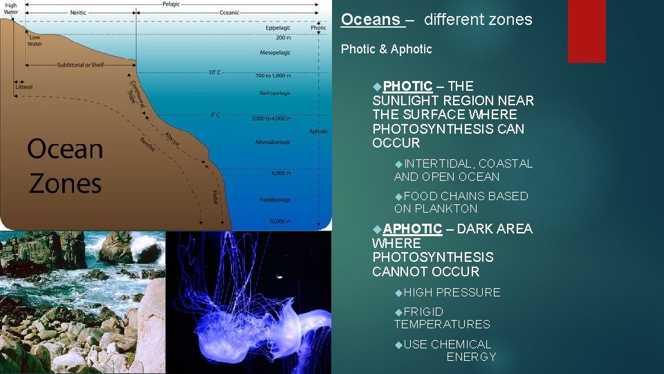 Oceans – different zones Photic & Aphotic PHOTIC – THE SUNLIGHT REGION NEAR THE