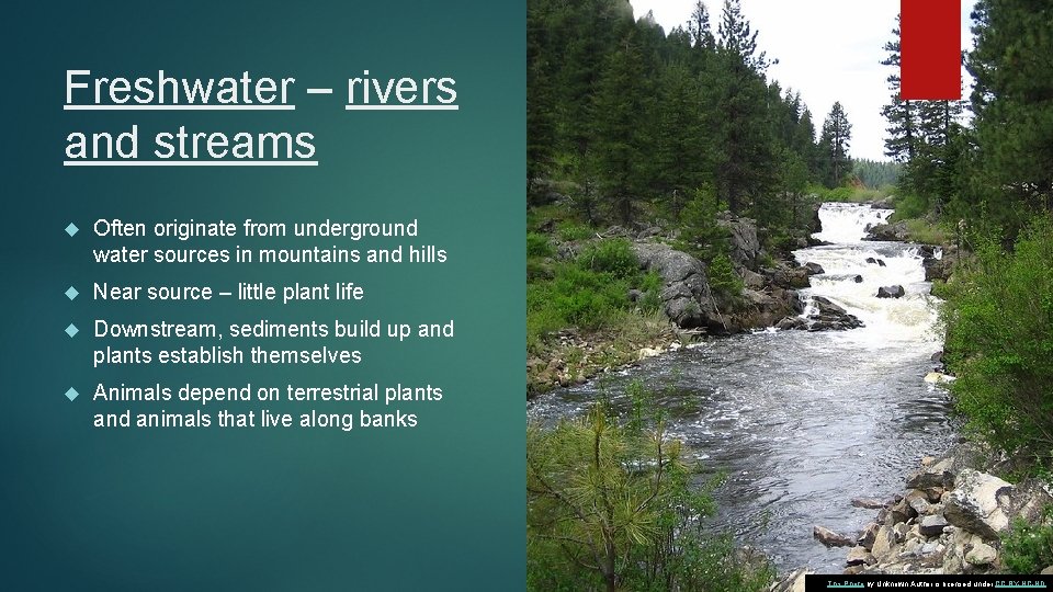 Freshwater – rivers and streams Often originate from underground water sources in mountains and