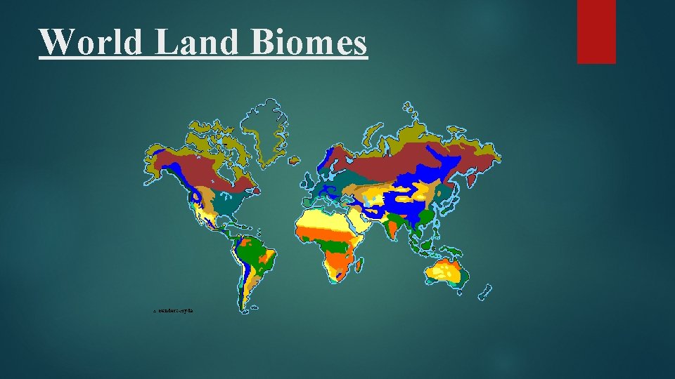 World Land Biomes 