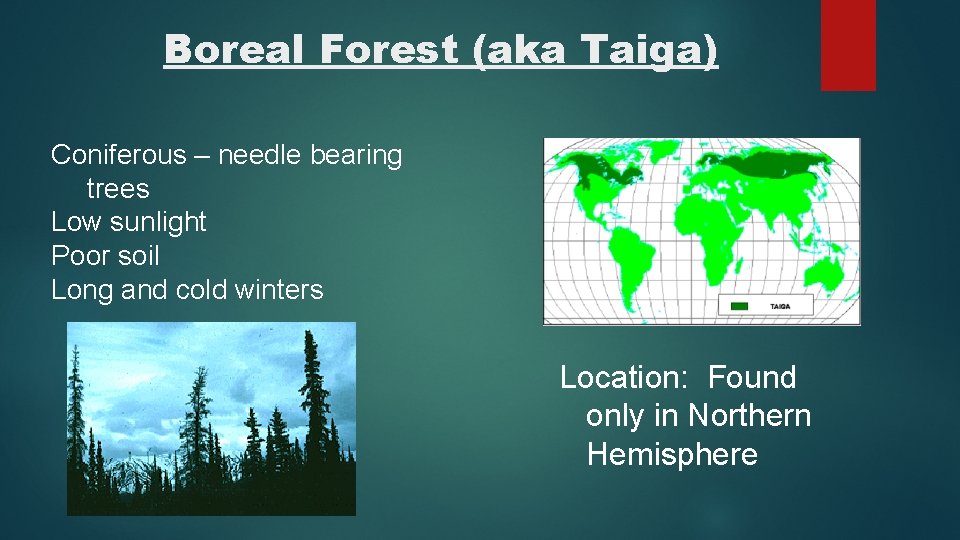 Boreal Forest (aka Taiga) Coniferous – needle bearing trees Low sunlight Poor soil Long