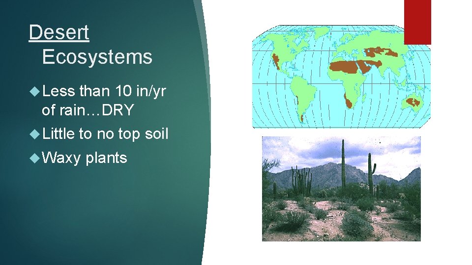 Desert Ecosystems Less than 10 in/yr of rain…DRY Little to no top soil Waxy