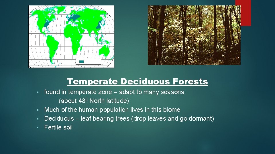 Temperate Deciduous Forests found in temperate zone – adapt to many seasons (about 480