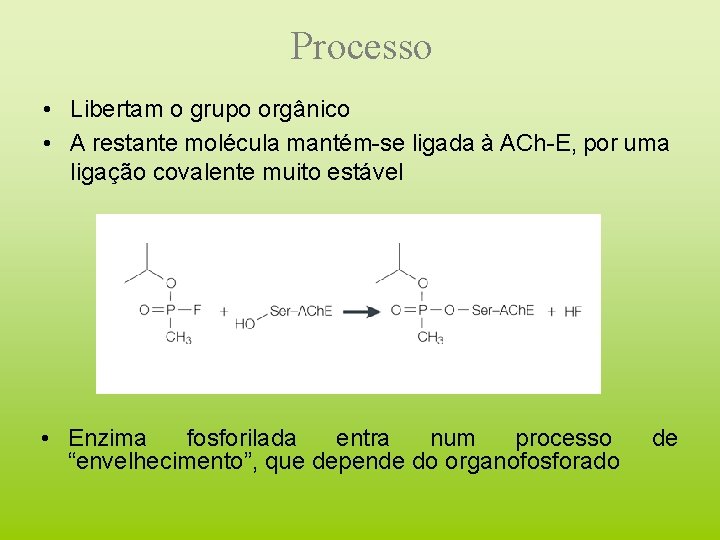 Processo • Libertam o grupo orgânico • A restante molécula mantém-se ligada à ACh-E,