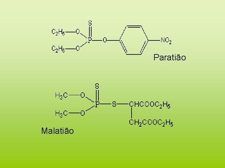 Paratião Malatião 