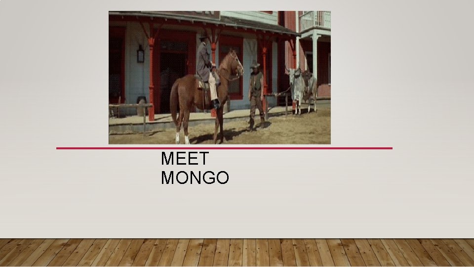 MEET MONGO 