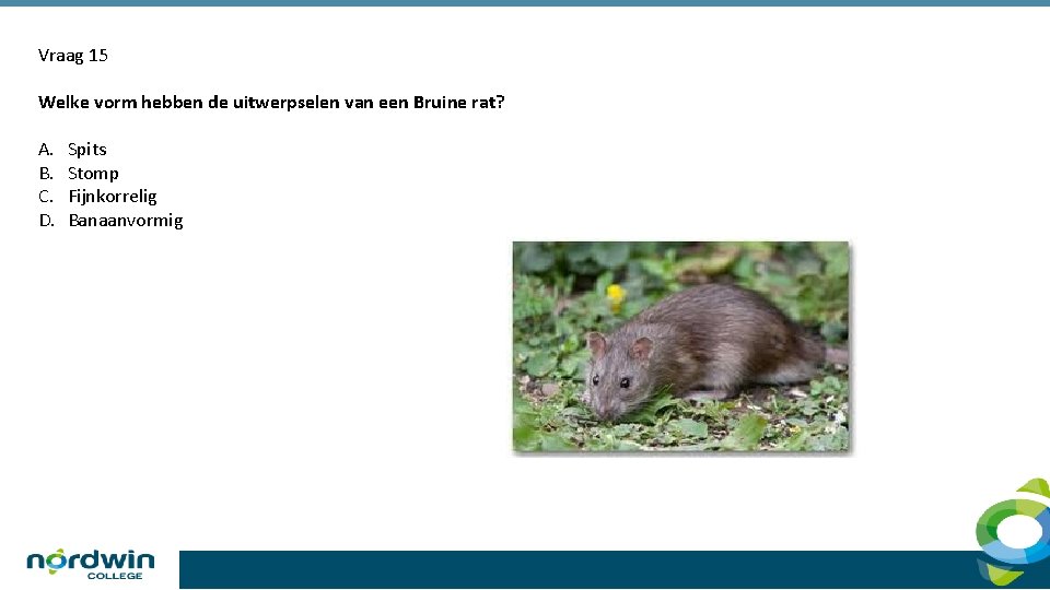 Vraag 15 Welke vorm hebben de uitwerpselen van een Bruine rat? A. B. C.