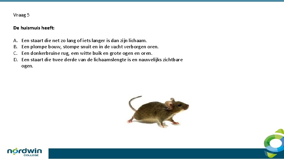 Vraag 5 De huismuis heeft: A. B. C. D. Een staart die net zo