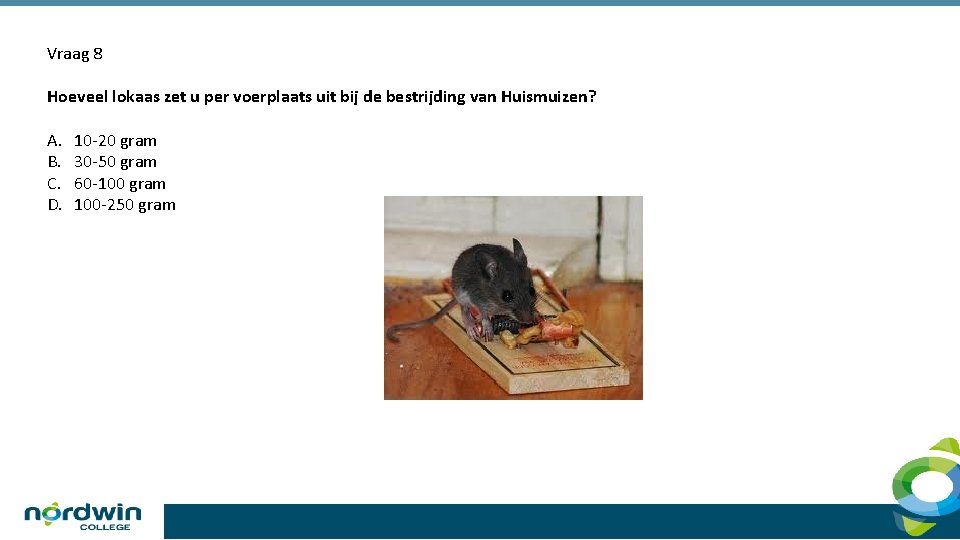 Vraag 8 Hoeveel lokaas zet u per voerplaats uit bij de bestrijding van Huismuizen?