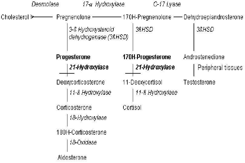 Result of a 21 -Hydroxylase Deficiency 