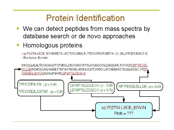 Protein Identification § We can detect peptides from mass spectra by database search or