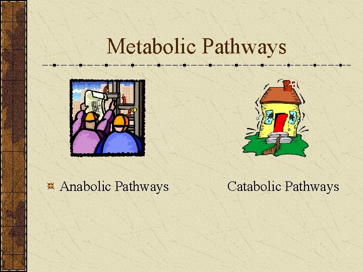 Metabolic Pathways Anabolic Pathways Catabolic Pathways 