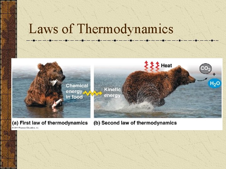 Laws of Thermodynamics 