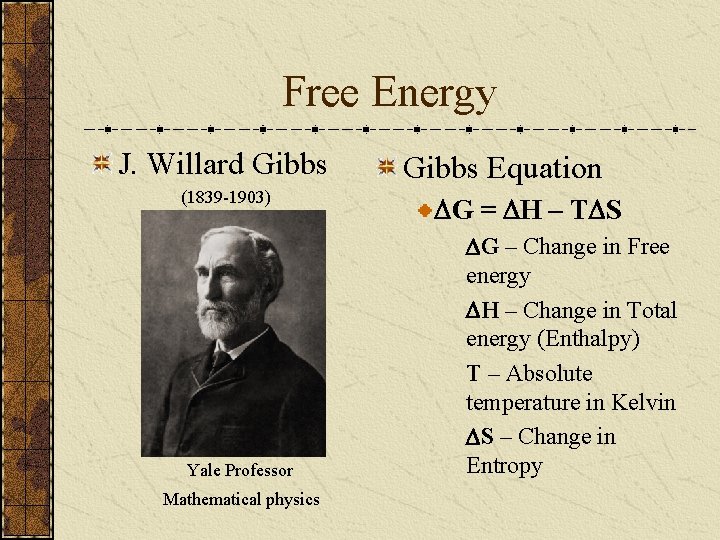 Free Energy J. Willard Gibbs (1839 -1903) Yale Professor Mathematical physics Gibbs Equation DG