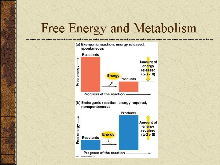 Free Energy and Metabolism 