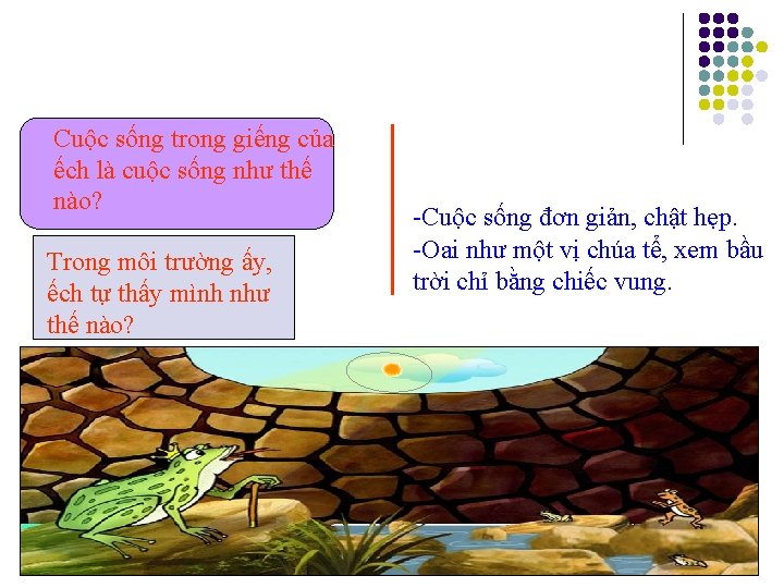 Cuộc sống trong giếng của ếch là cuộc sống như thế nào? Trong môi