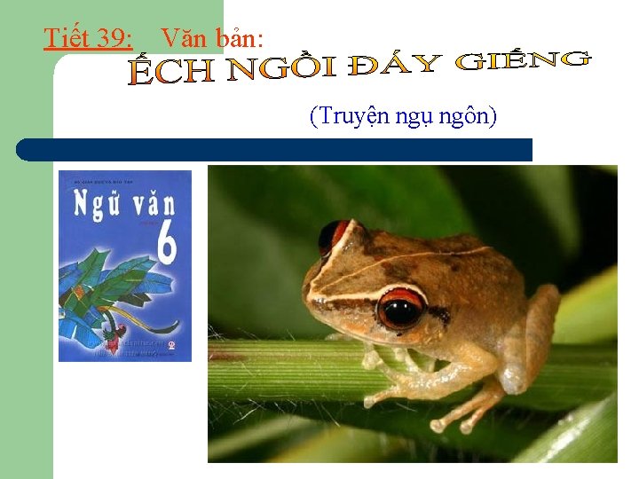 Tiết 39: Văn bản: (Truyện ngụ ngôn) 