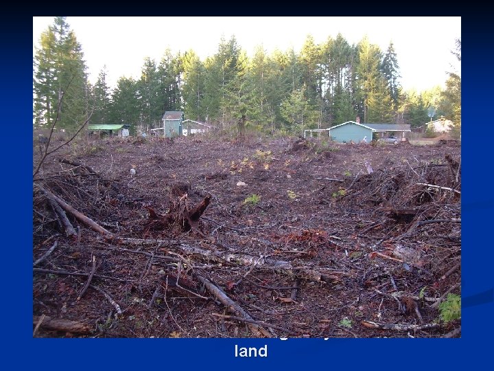 Residences And Outbuildings Adjacent To DNR land 