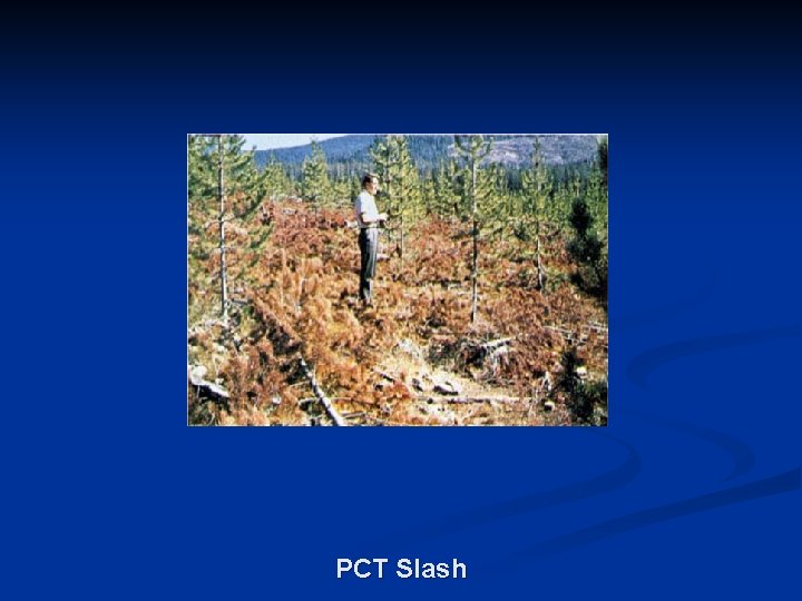 PCT Slash 