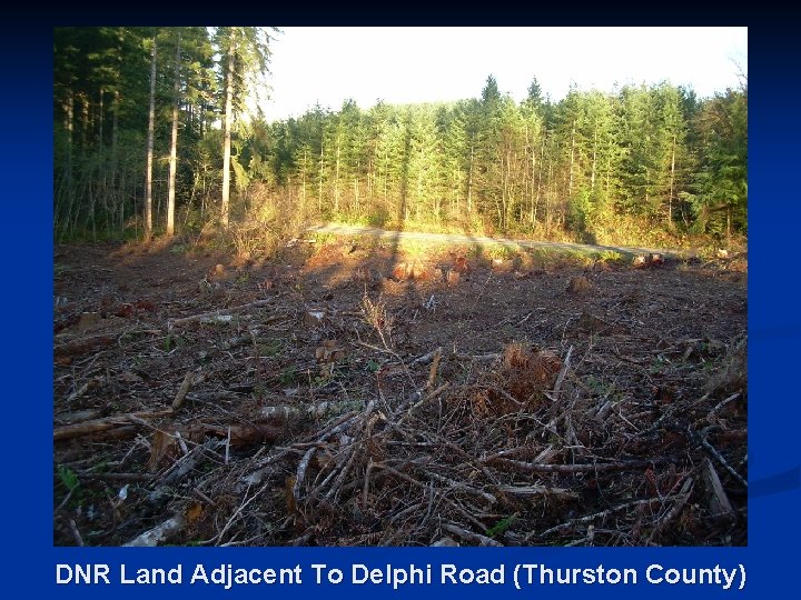 DNR Land Adjacent To Delphi Road (Thurston County) 